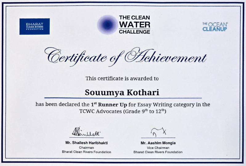 Ocean Cleanup